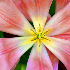 打爆别人短信的软件