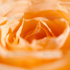 手机号狂轰滥炸软件