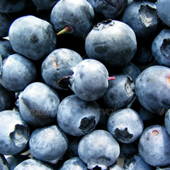 免费网络电话在线使用