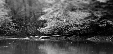 漏洞扫描的云拨手机号app