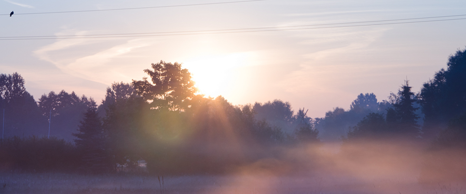 短信网页在线轰炸源码